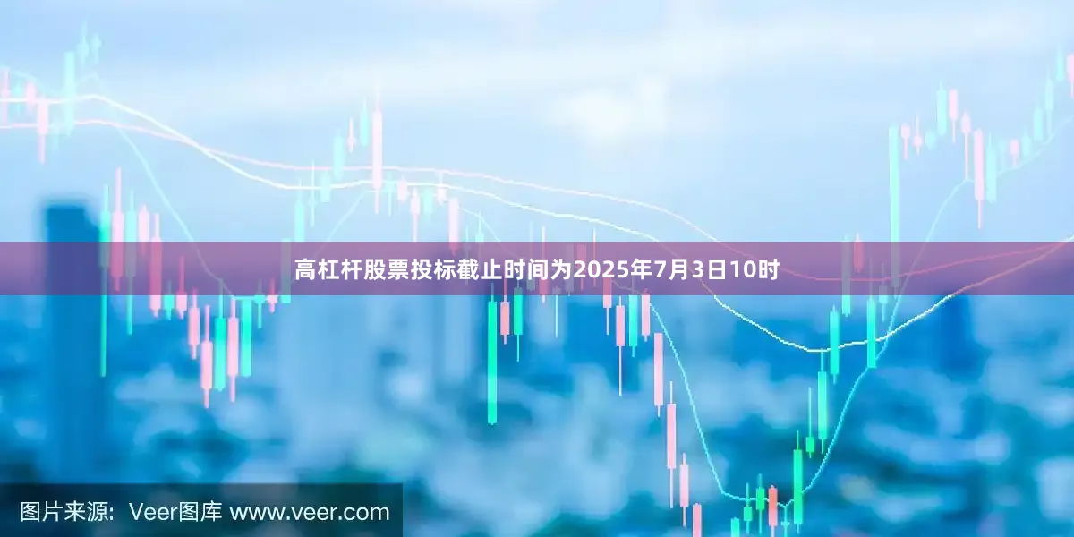 高杠杆股票投标截止时间为2025年7月3日10时