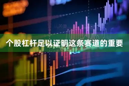 个股杠杆足以证明这条赛道的重要